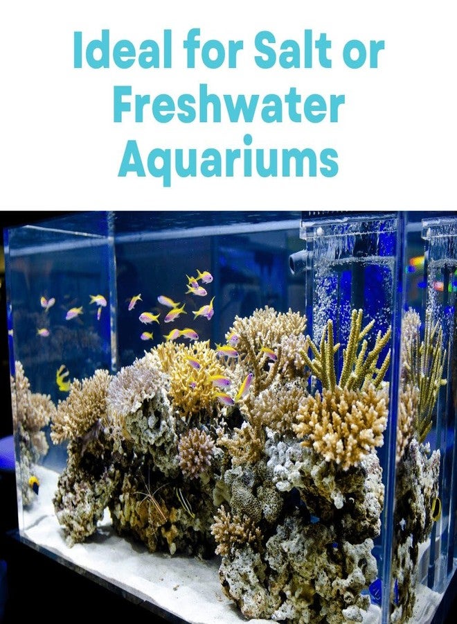 كربون نشط بالجملة لترشيح أحواض السمك (قليل الغبار) / كربون نشط حبيبي مغسول مسبقًا بحجم 12 × 40 شبكة - 1 رطل، أسود - Image 3